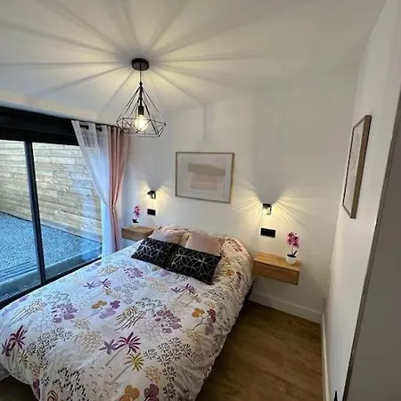 Le Briand 4etoiles Nancy Thermal Cosy Avec Terrasse Wifi