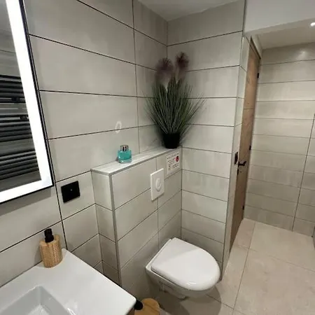 Le Briand 4etoiles Nancy Thermal Cosy Avec Terrasse Wifi דירה *