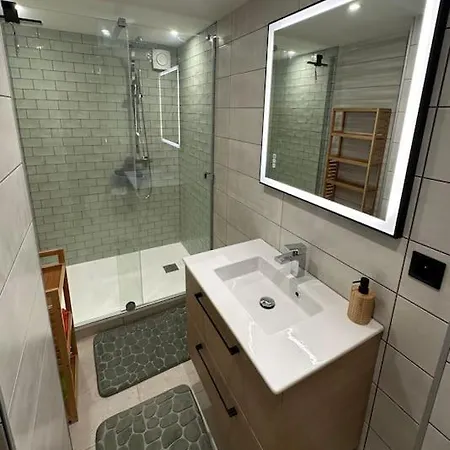 Apartment Le Briand 4etoiles Nancy Thermal Cosy Avec Terrasse Wifi *