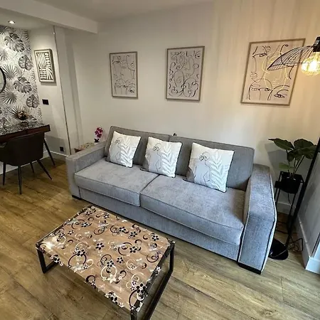 Le Briand 4etoiles Nancy Thermal Cosy Avec Terrasse Wifi *