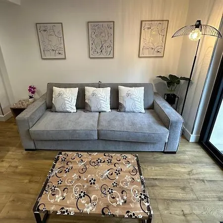 Le Briand 4etoiles Nancy Thermal Cosy Avec Terrasse Wifi Apartment Laxou