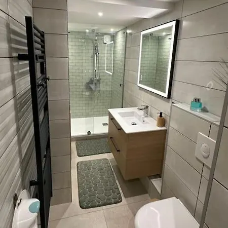 Le Briand 4etoiles Nancy Thermal Cosy Avec Terrasse Wifi Laxou