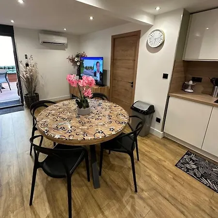 Le Briand 4etoiles Nancy Thermal Cosy Avec Terrasse Wifi Apartment