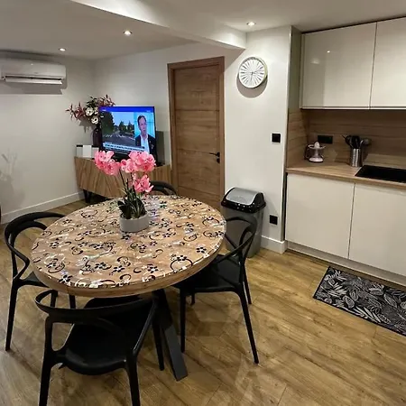 Le Briand 4etoiles Nancy Thermal Cosy Avec Terrasse Wifi Apartment *