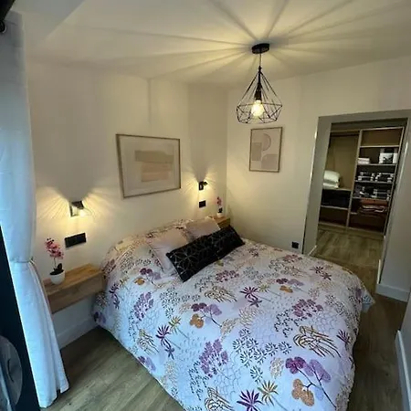 Le Briand 4etoiles Nancy Thermal Cosy Avec Terrasse Wifi Apartment *