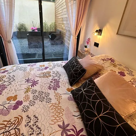 Apartment Le Briand 4etoiles Nancy Thermal Cosy Avec Terrasse Wifi *