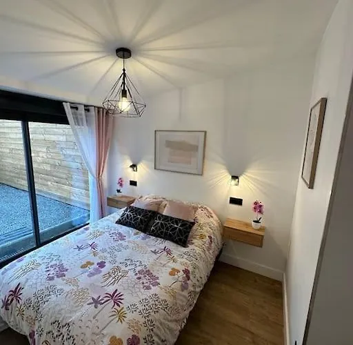 Le Briand 4etoiles Nancy Thermal Cosy Avec Terrasse Wifi