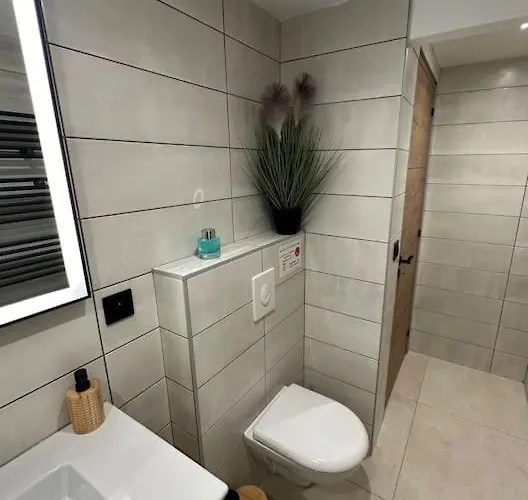 Le Briand 4etoiles Nancy Thermal Cosy Avec Terrasse Wifi Apartmán *