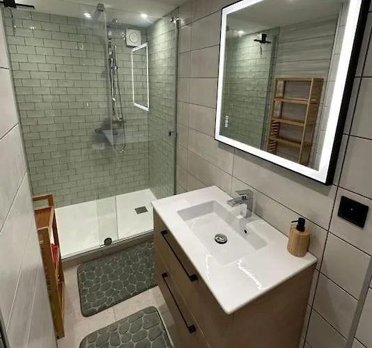 Apartmán Le Briand 4etoiles Nancy Thermal Cosy Avec Terrasse Wifi *