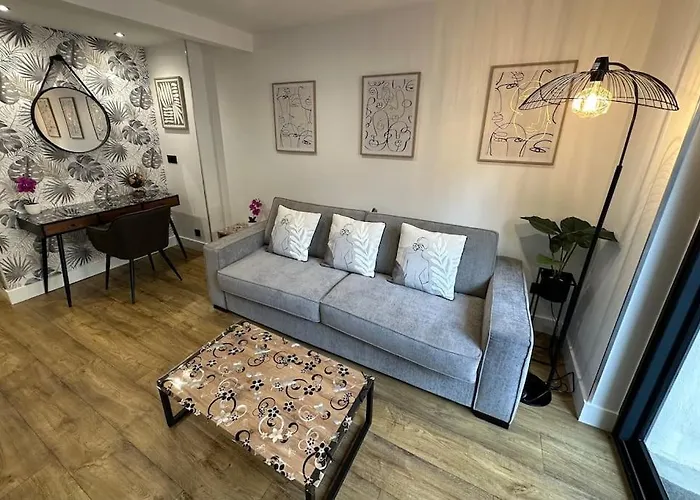 Le Briand 4etoiles Nancy Thermal Cosy Avec Terrasse Wifi *