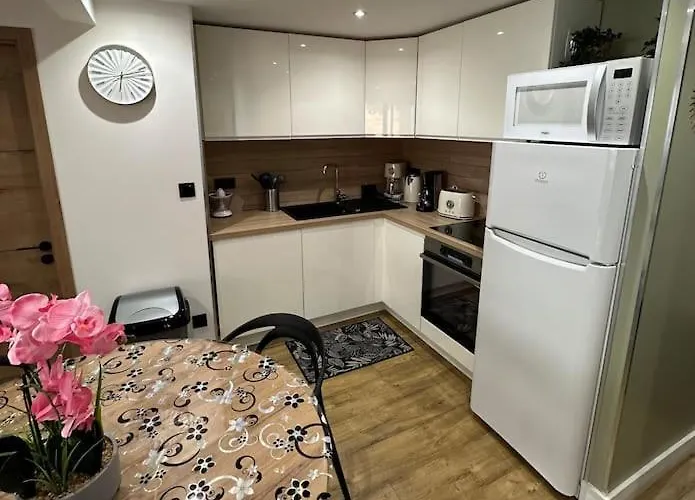 Le Briand 4etoiles Nancy Thermal Cosy Avec Terrasse Wifi Apartmán *