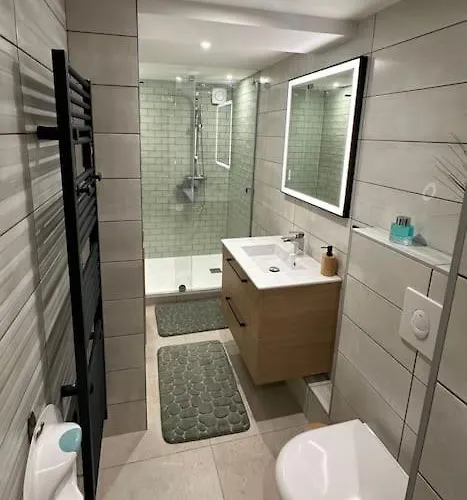 Le Briand 4etoiles Nancy Thermal Cosy Avec Terrasse Wifi Laxou