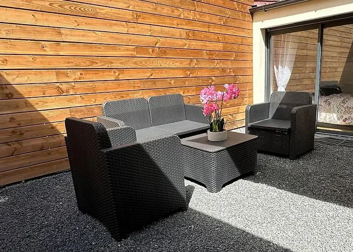 Le Briand 4etoiles Nancy Thermal Cosy Avec Terrasse Wifi