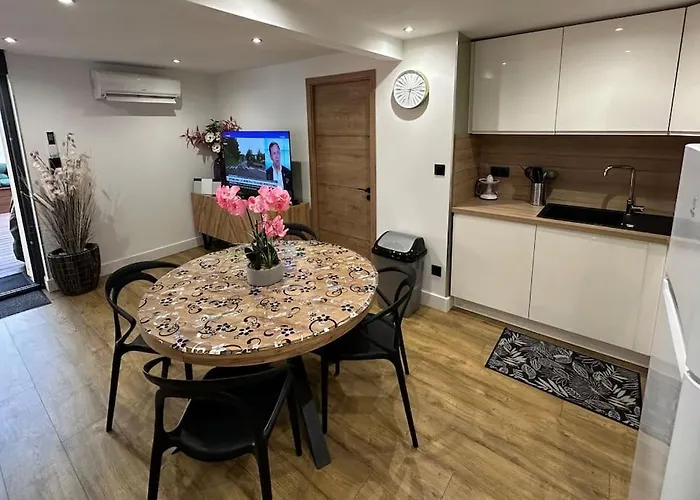 Le Briand 4etoiles Nancy Thermal Cosy Avec Terrasse Wifi Apartmán *