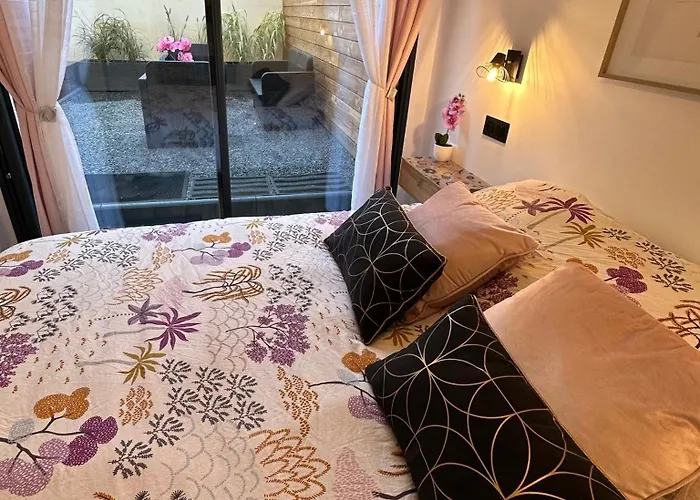 Apartmán Le Briand 4etoiles Nancy Thermal Cosy Avec Terrasse Wifi *